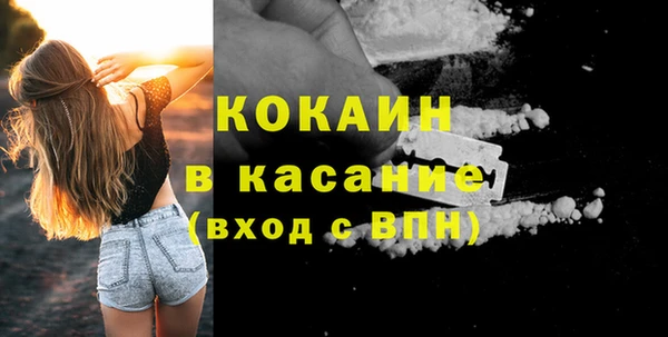 гашик Алексеевка