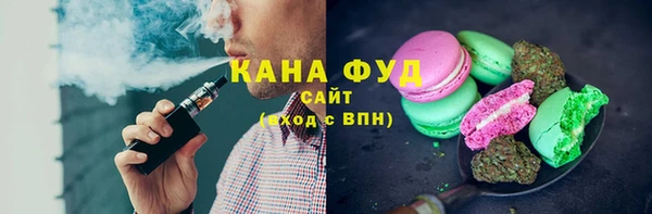 гашик Алексеевка