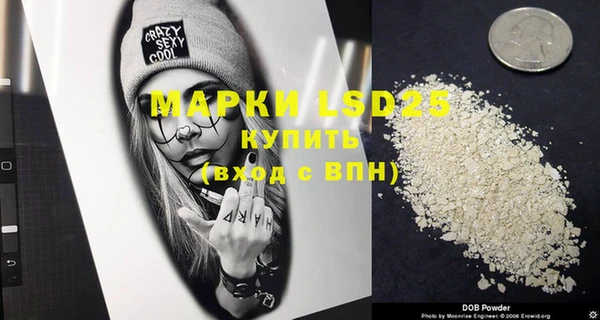 ECSTASY Алзамай