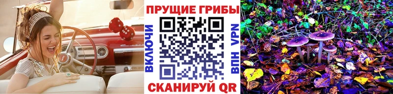 купить   Южно-Сухокумск  Псилоцибиновые грибы мухоморы 